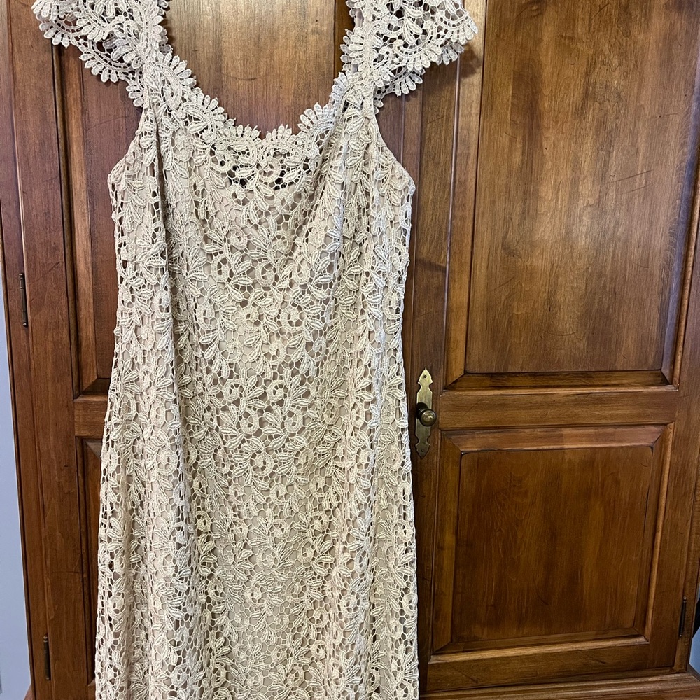 Adam Beige Lace Midi Dress